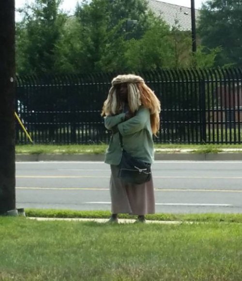 Причудливые и смешные стрижки и причёски 