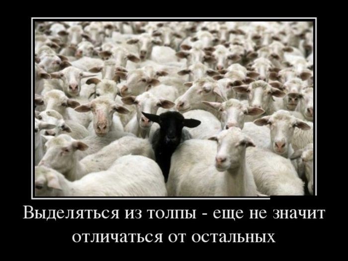 Демотиваторы демотиваторы, прикол, юмор