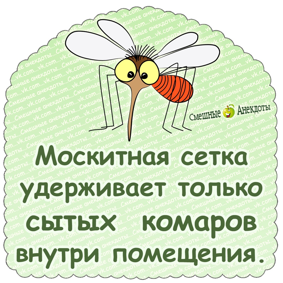 Юмор из интернета 800 анекдоты,веселье,позитив,смех,улыбки,юмор