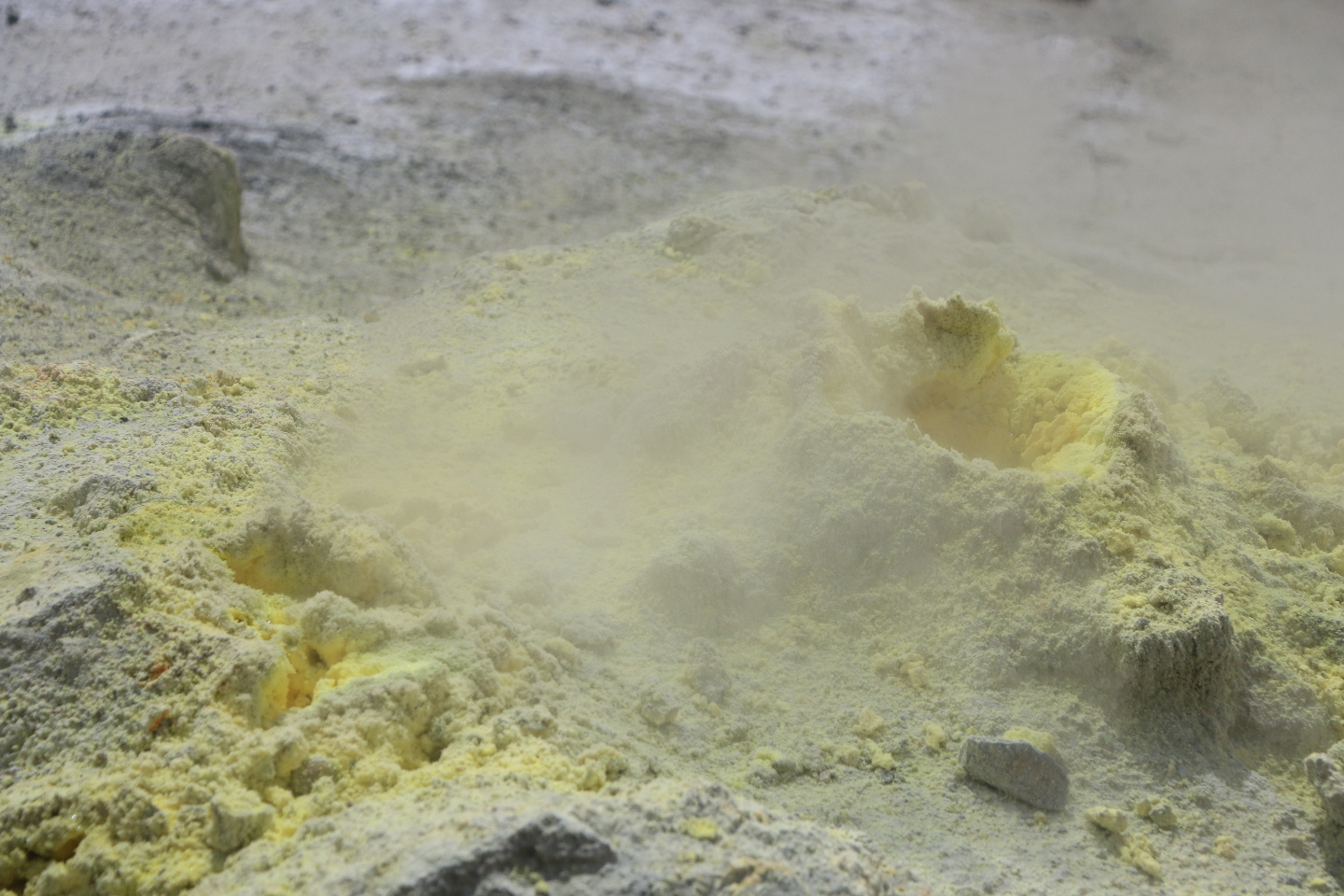 Камчатка. Часть 2. Медведи на планете вулканов. 