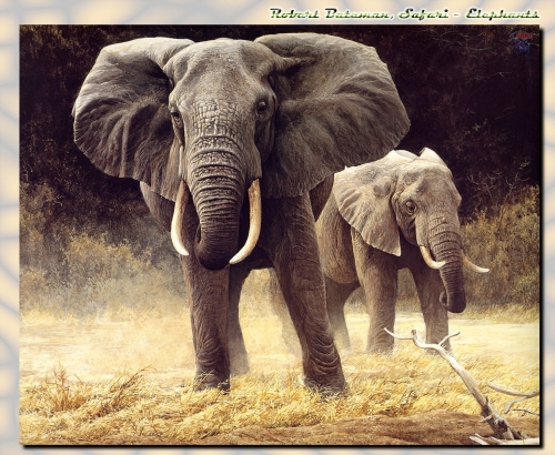 Художник Роберт Бейтман | Robert Bateman (363 работ)