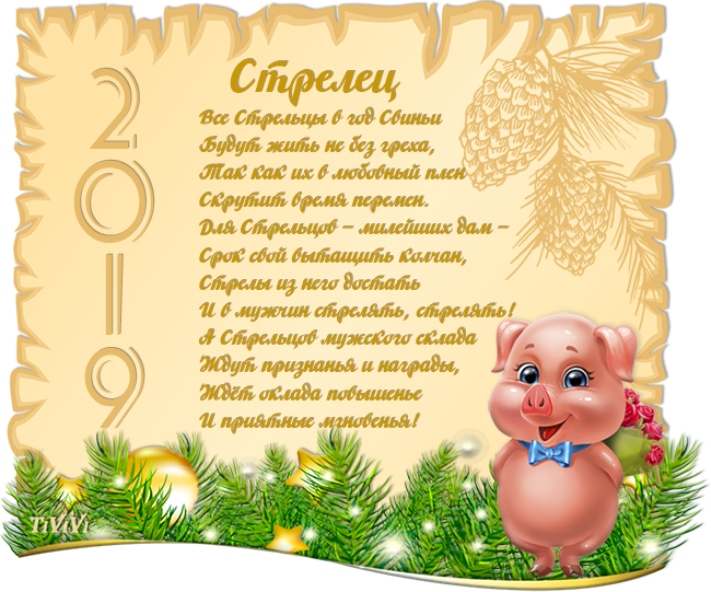   2019