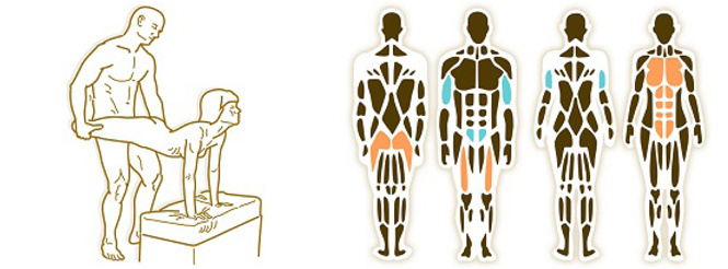 Фитнес-камасутра: как освежить отношения.