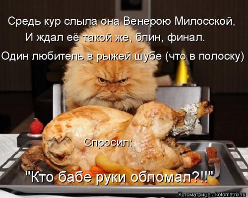 Котоматрицы недели Котоматрицы недели прикольные картинки