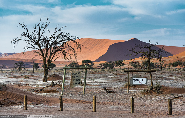 Пустыня Намиб. «Мертвое болото» Пустыня Намиб. «Мертвое болото» путешествия