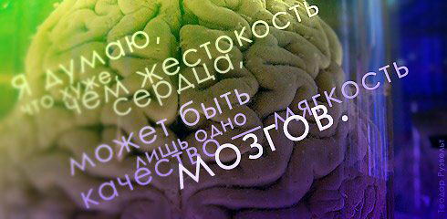 цитаты со смыслом и картинки с цитатами цитаты со смыслом и цитаты в картинках 119