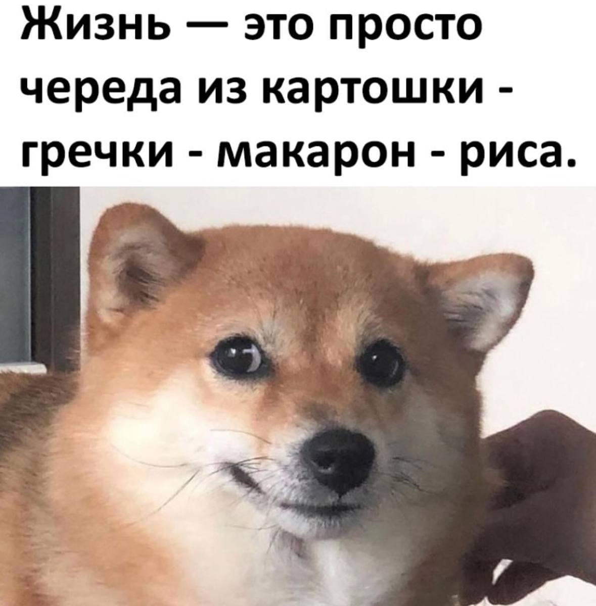 Смешные картинки с надписями и парни с ногами Смешные картинки с надписями и парни с ногами