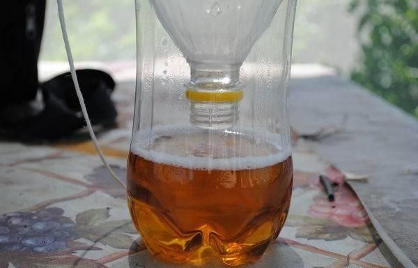 ловушка для насекомых из бутылок