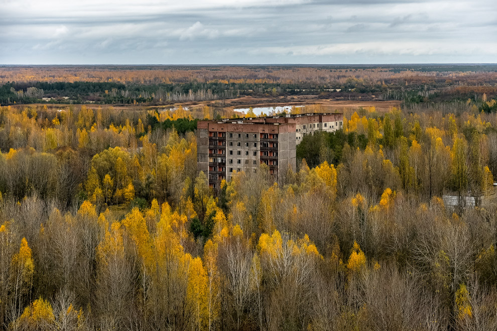 Припять сегодня