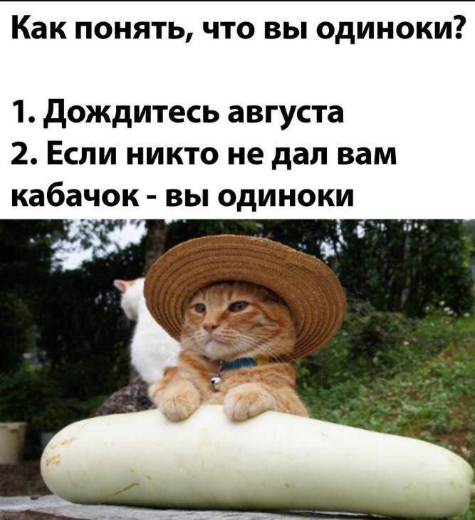 Из-за идиотов всё труднее жить дуракам — смешные картинки с надписями Из-за идиотов всё труднее жить дуракам — смешные картинки с надписями