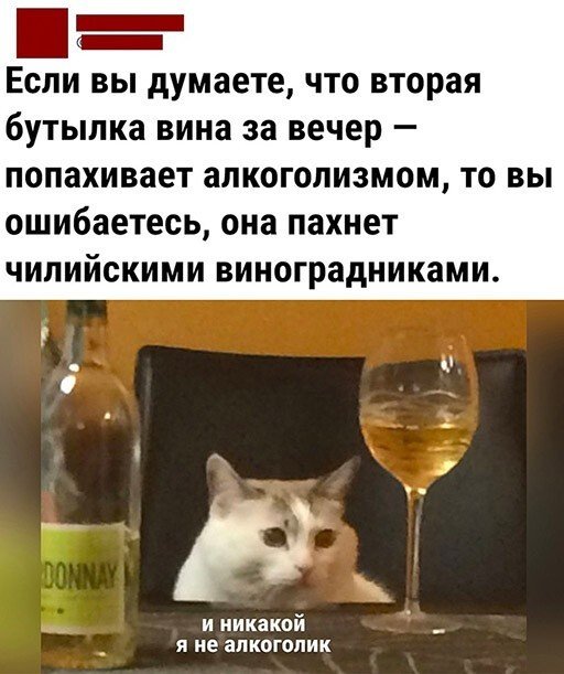 Шутки и мемы про алкоголь Шутки и мемы про алкоголь позитив,смешные картинки,юмор