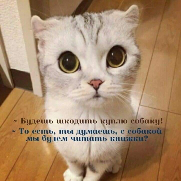 Юмор из интернета 657