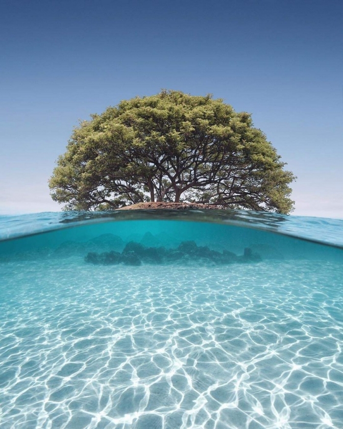 Фотоподборка пятницы на конец осени Фотоподборка пятницы на конец осени