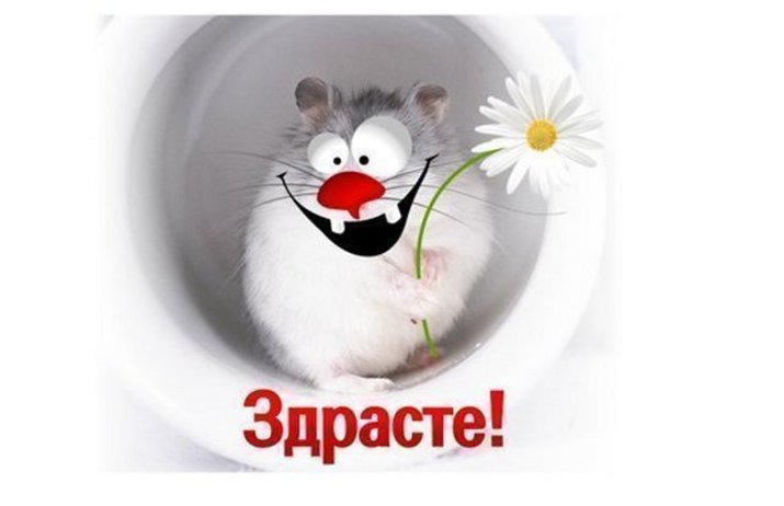 МАТЬ ПРИРОДЫ РАССУЖДАЕТ... ЗДРАСТЕ!