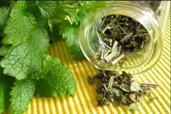 11 рецептов лечения женских болезней. В любом возрасте остаемся здоровыми и красивыми!