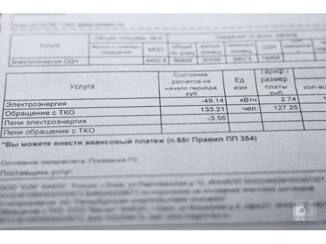 «Кто-то недоработал»: Сибирь на «прямой линии» с Путиным россия