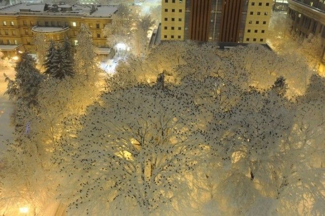 25 фотографий, на которых нет ни грамма фотошопа, хотя в это и очень сложно поверить без фотошопа крутые фотографии без фотошопа