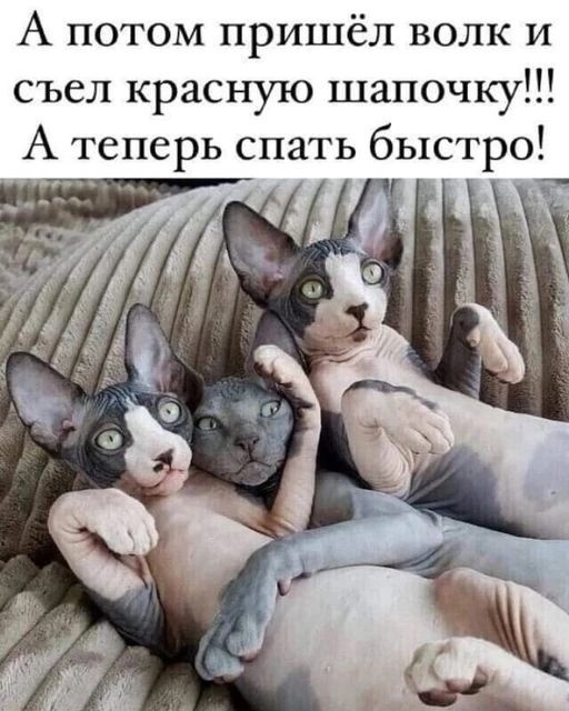 — Ма-а-ам, хочу татуировку! — Неси дочка ремень, сейчас набьем! печеньки, будешь, кухне, захвати, захвачены, генерал 
