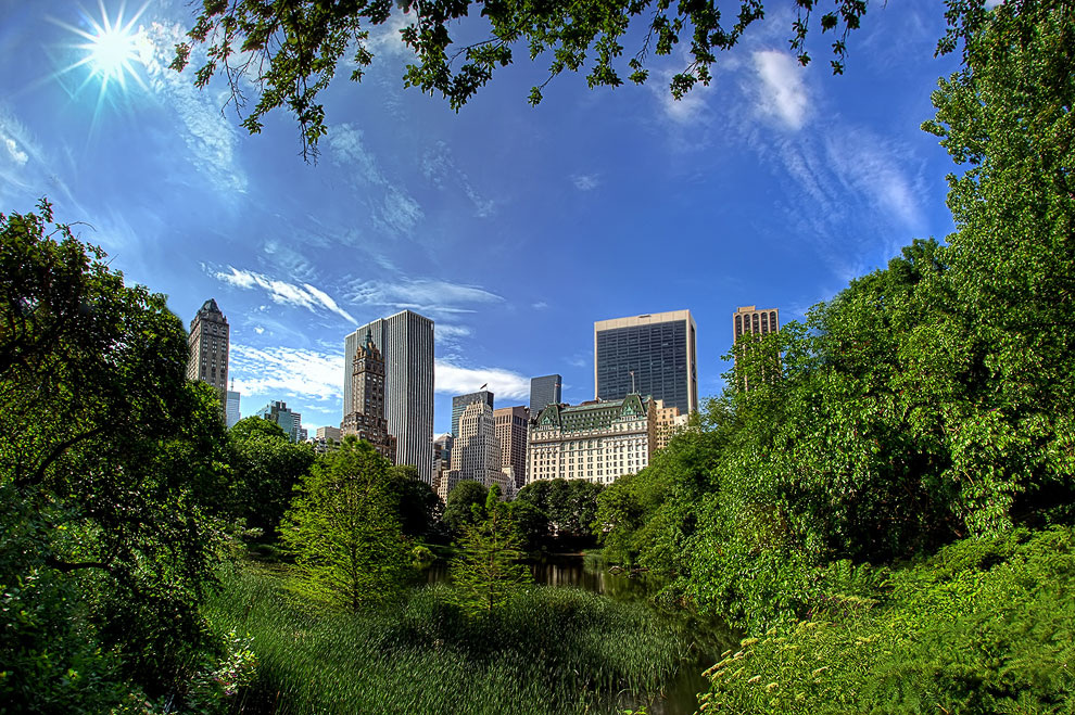 Виртуальная прогулка по Центральному парку Нью-Йорка Центральный, очень, парка, почти, НьюЙорка, Boathouse, Центрального, больше, также, самый, ресторана, собой, сегодня, НьюЙорке, парку, парке, сделано, города, самого, такого