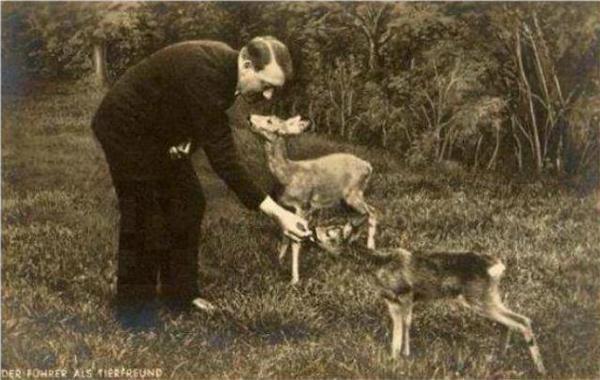 Адольф Гитлер кормит оленёнка