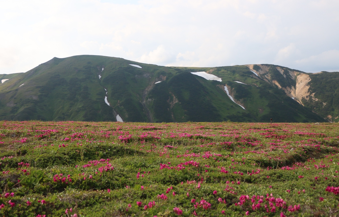Камчатка. Часть 2. Медведи на планете вулканов. 