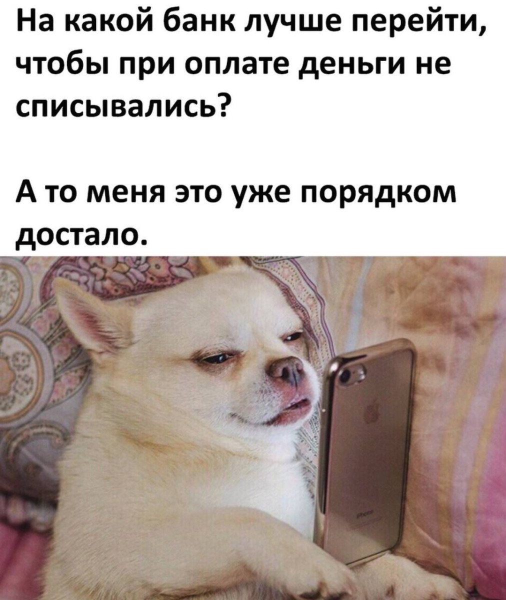 Смешные картинки с надписями и парни с ногами Смешные картинки с надписями и парни с ногами