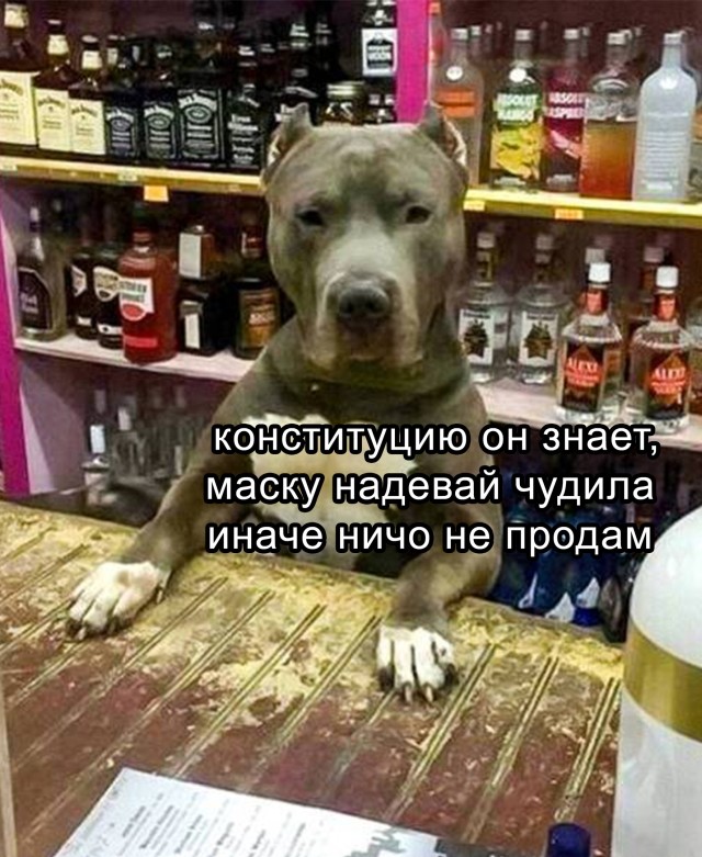 Подборка прикольных картинок Подборка прикольных картинок приколы,смешные картинки,юмор