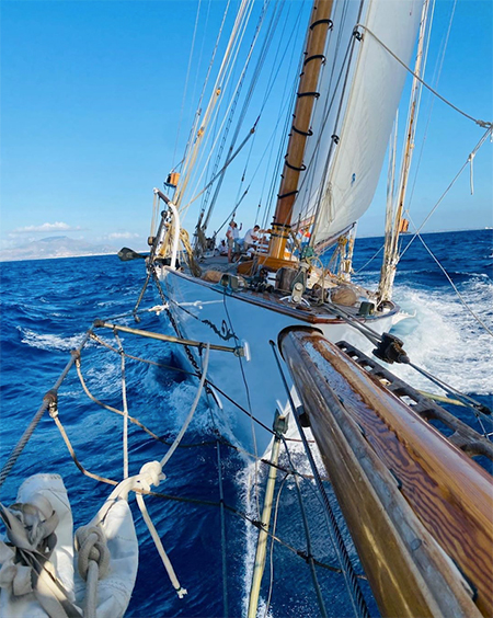 Брат Кейт Миддлтон во второй раз отменил свадьбу Звезды,Звездные пары