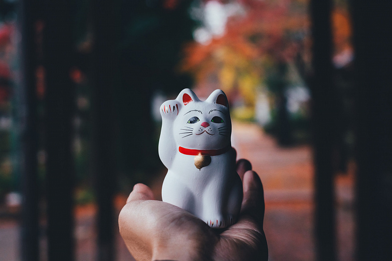 Готокудзи – буддистский храм, где появились статуэтки Манэки Неко авиатур