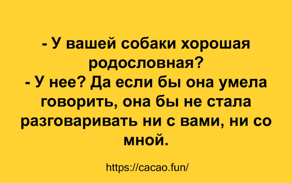 Десятка смешных анекдотов, которая даже в самый грустный час развеселит вас 