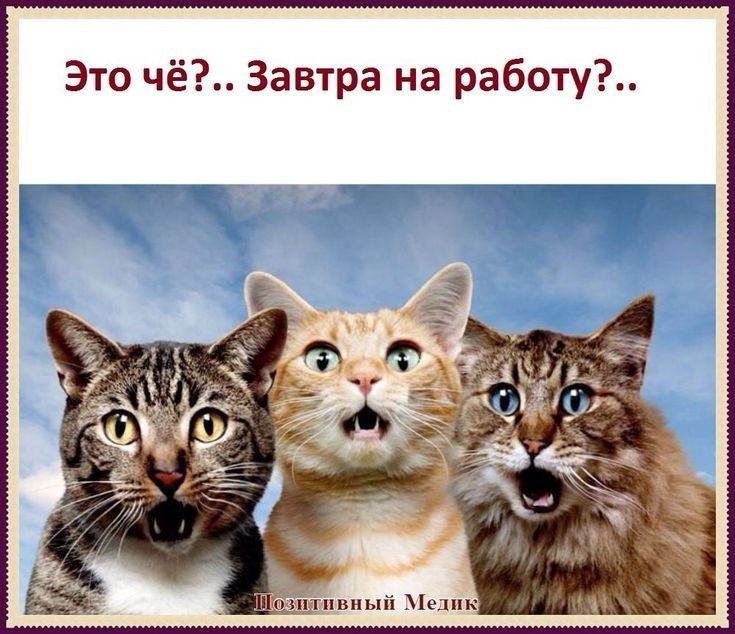 Остроумные комментарии, которые как острый соус приправляют сам пост