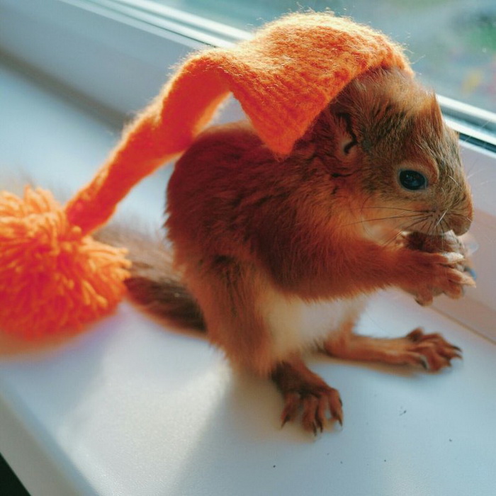 Фотоподборка субботы за всю неделю 