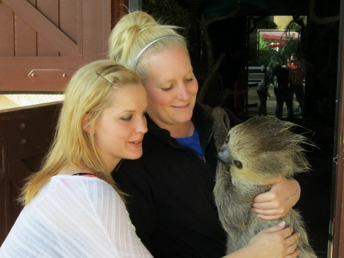 Фотоподборка вторника 27 ноября Фотоподборка вторника 27 ноября