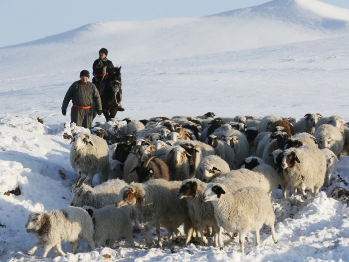 Фотографии о жизни сибиряков: Как живут и отдыхают люди на Крайнем Севере 