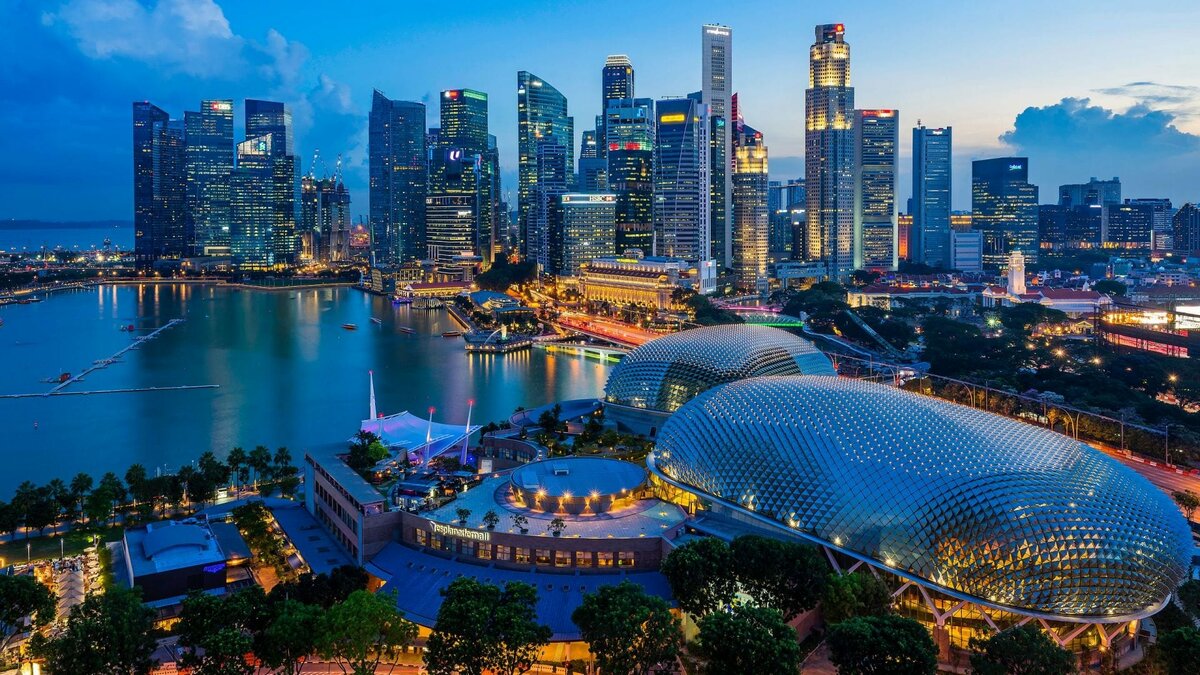 сингапур требования