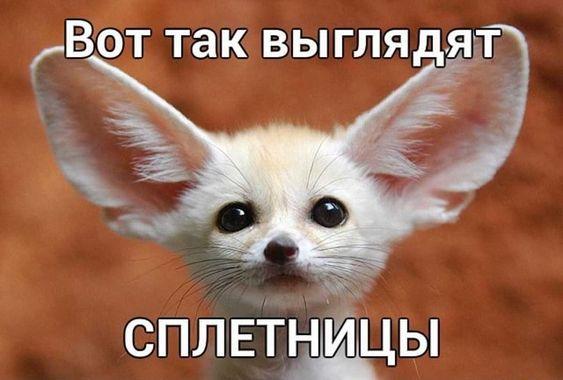 Угарные картинки с юмором Угарные картинки с юмором