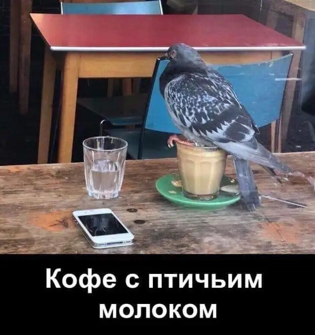 Стань умным, богатым, знаменитым, свободным, успешным. В общем, сделай так, чтобы тебя ненавидели все окружающие Стань умным, богатым, знаменитым, свободным, успешным. В общем, сделай так, чтобы тебя ненавидели все окружающие смерти, чтобы, переворот, свинки, цветы, после, прямо, узнала, показалХочешь, Нажимаешь, течёт, морские, умные, животные, разберутся, разобралась, иметь, имеется, друга, семье