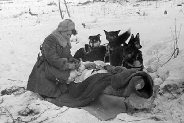 ��� �����. ����� ������������ ������� �����������