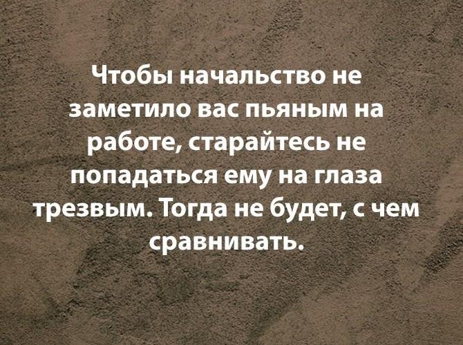 Фразы и шутки про работу на картинках 