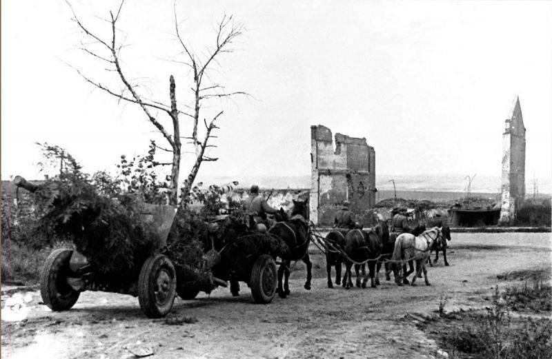 Операция «Суворов». Как Красная Армия освободила Смоленск Операция «Суворов». Как Красная Армия освободила Смоленск история