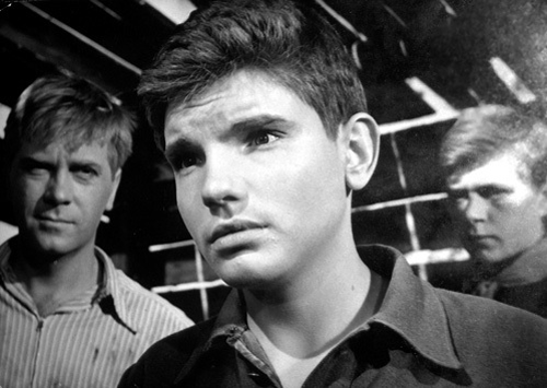 Олег Видов: идеальный киногерой, сделавший карьеру на Западе Олег Видов: идеальный киногерой, сделавший карьеру на Западе интересное,интересные люди,интересные факты,история,мир,путешествия,Россия