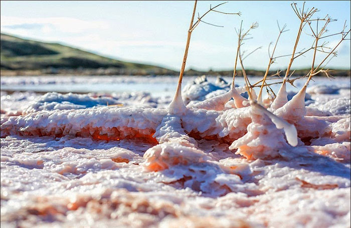 Великолепие крымского «гнилого моря» 25 фотографий озера Сиваш интересное