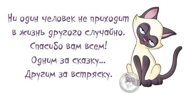 Высказывания о жизни мудрые короткие прикольные с картинками, открытки
