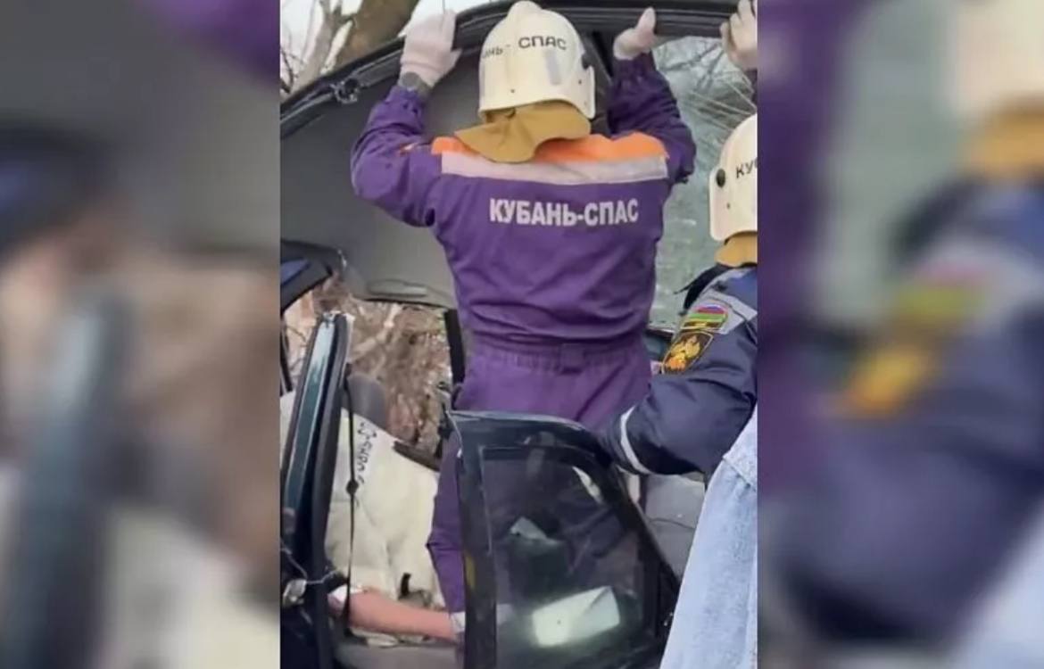 На Кубани после столкновения с деревом водителя зажало в искореженной легковушке