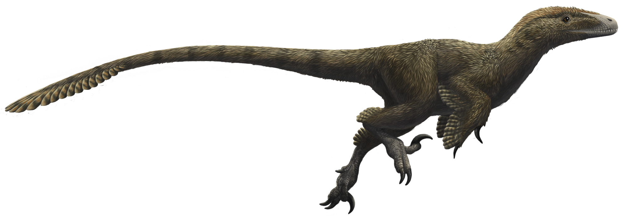 Если бы динозавры не вымерли 24