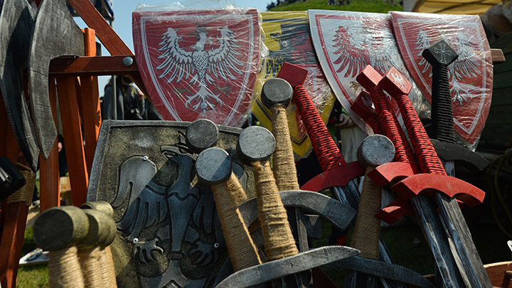 РАЗОРВАННАЯ ПОЛЬША: УДАР ПО ЗАПАДУ ГОТОВИТ ГЛАВНЫЙ СОЮЗНИК геополитика