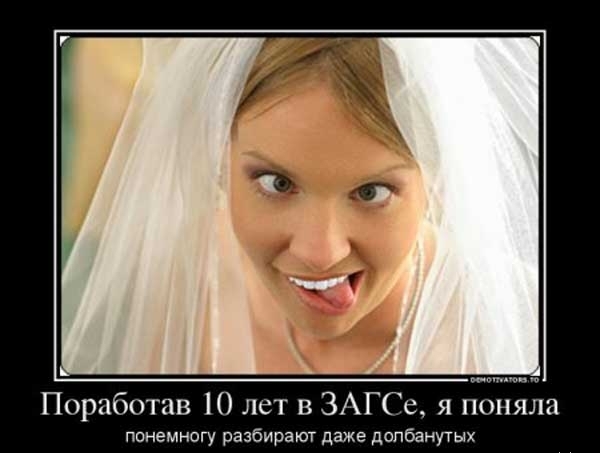 Подборка зачетных, смешных и веселых демотиваторов для хорошего настроения