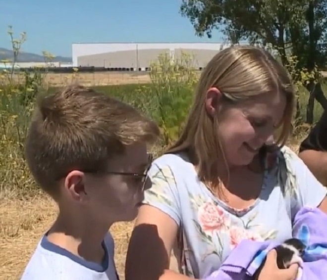 Котенок и семья