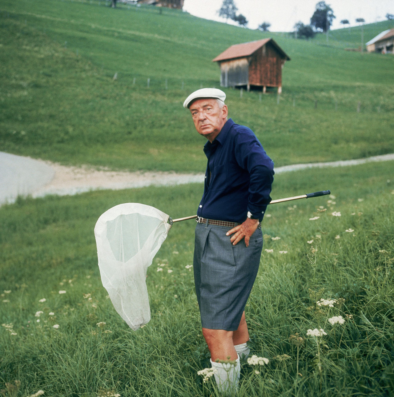 Владимир Набоков охотится за бабочками в Швейцарии