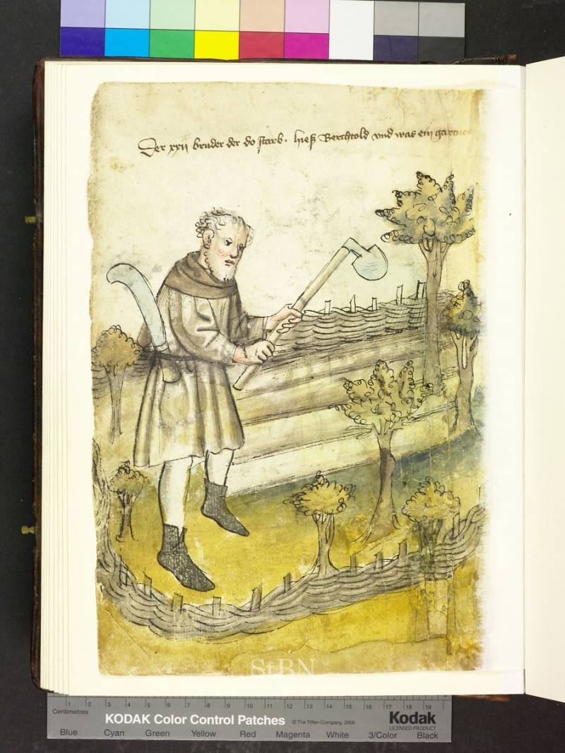 «Книга двенадцати братьев»: пахари, садоводы и виноградари история